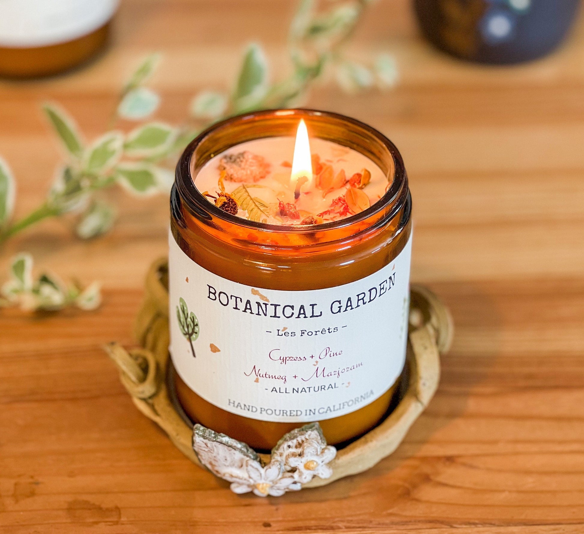 Organic Cypress Pine Aromatherapy Soy Candle-all Natural-100% Essential Oil-organic Dry Flowers-long Lasting 9oz-gift-
